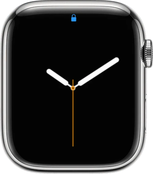 Ý nghĩa các biểu tượng (icon) trên mặt Apple Watch 14