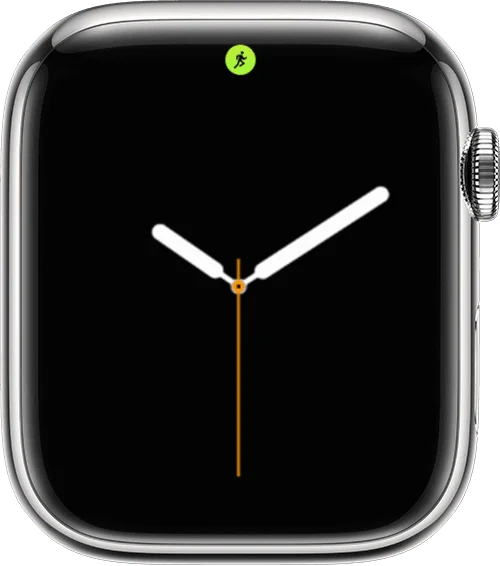 Ý nghĩa các biểu tượng (icon) trên mặt Apple Watch 30