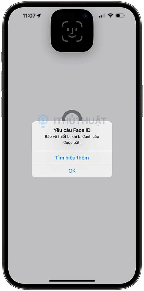 iOS 17.3 Beta có thêm tính năng bảo vệ iPhone khi bị đánh cắp 6